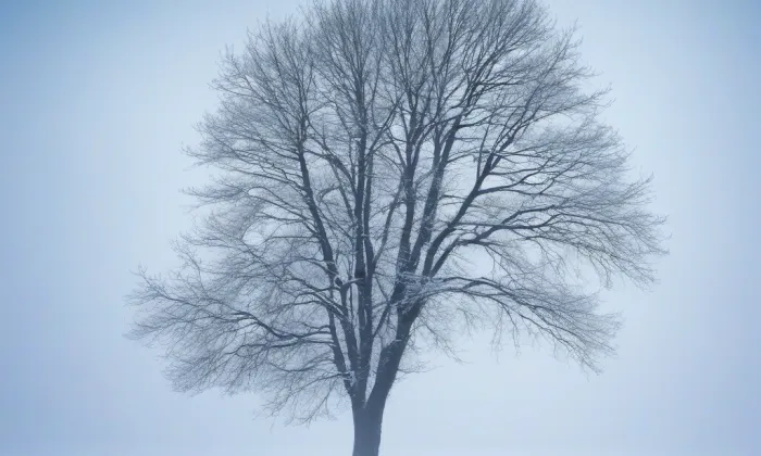 kaple svaté Anny (Ráj) – winter