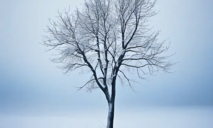 Kaple svaté Anny (Vikletice) – winter