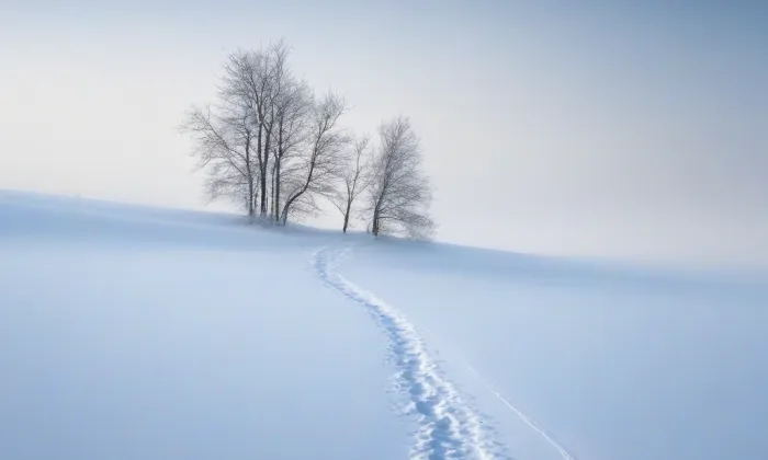 kaple svaté Anny (Zákupy) – winter