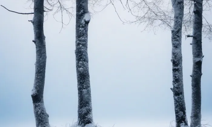 kaple svaté Anny ve Strkovicích – winter