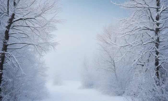 kaple svaté Anny ve Vítkově – winter