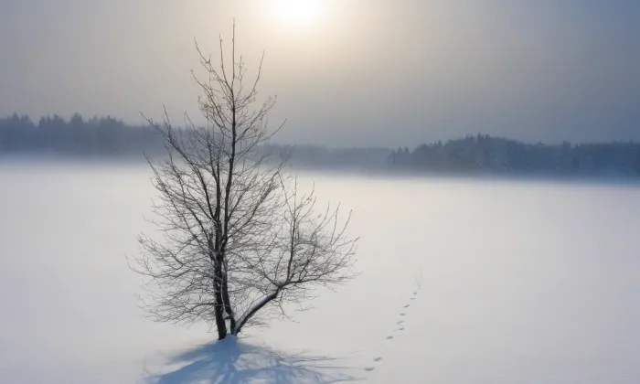kaple svaté Hedviky – winter