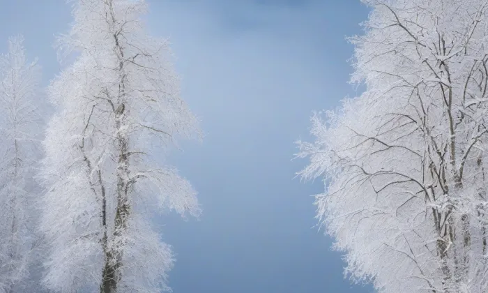 kaple svaté Máří Magdaleny (Holešovice) – winter