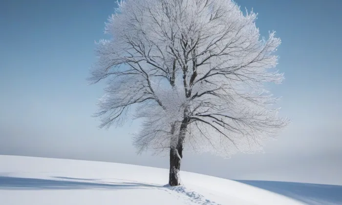 kaple svaté Markéty (Prachatice II) – winter