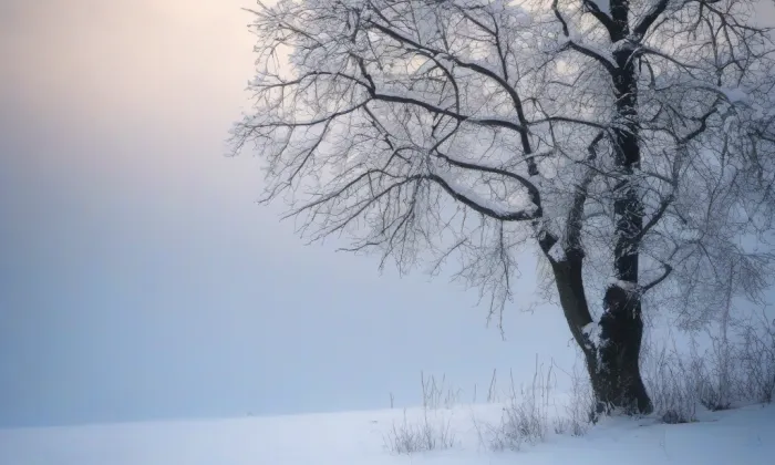 kaple svaté Rodiny (Černá Hora) – winter