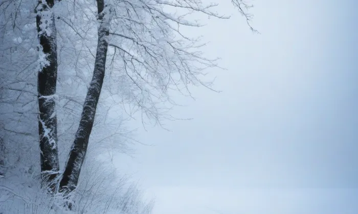 kaple svaté Rodiny (Kohoutovice) – winter