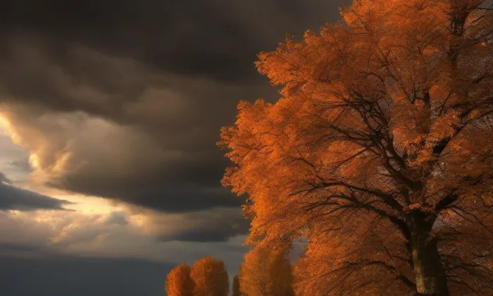 kaple svaté Terezie – autumn