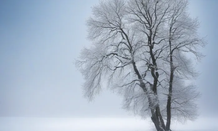 Kaple svaté Trojice (Vysoký Potok) – winter