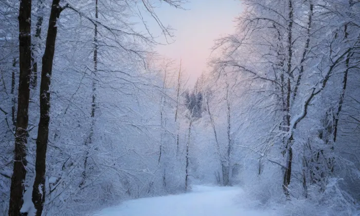 kaple svatého Antonína (Dolní Kounice) – winter