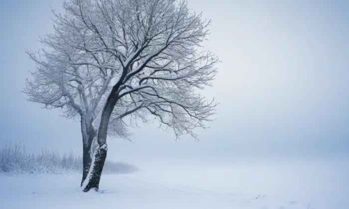 kaple svatého Cyrila a Metoděje (Červený Kostelec) – winter