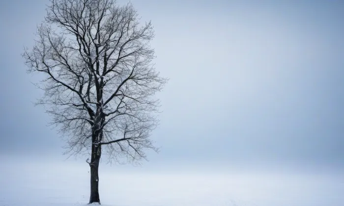 kaple svatého Cyrila a Metoděje (Olomouc) – winter
