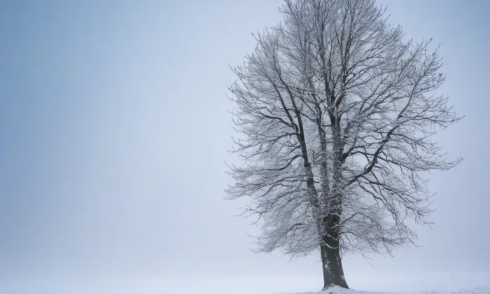 kaple svatého Eliáše – winter