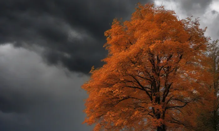 kaple svatého Floriána (Prostějov) – autumn