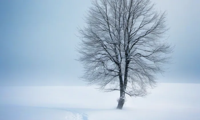 kaple svatého Františka z Assisi (Lovosice) – winter