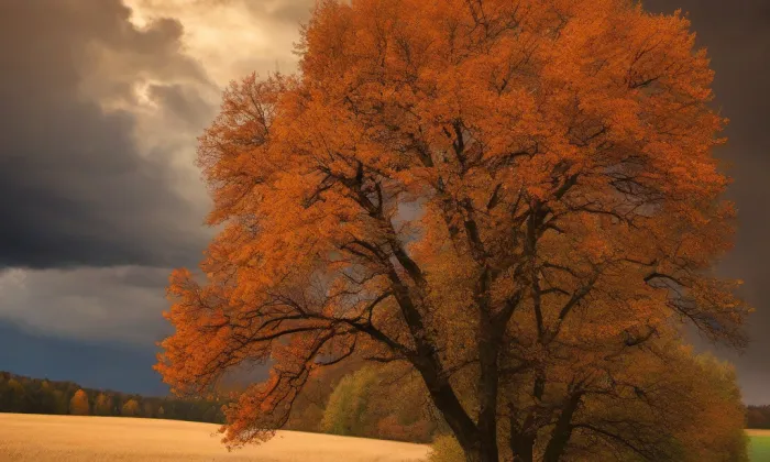 Kaple svatého Jana Křtitele (Deštná) – autumn