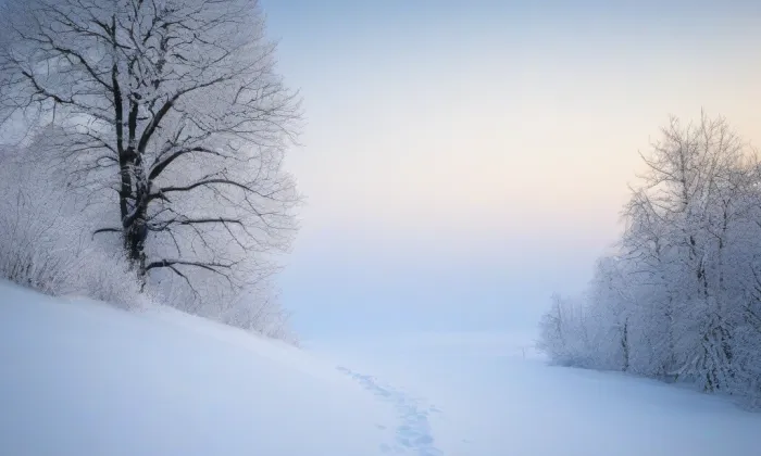 Kaple svatého Jana Křtitele (Deštná) – winter
