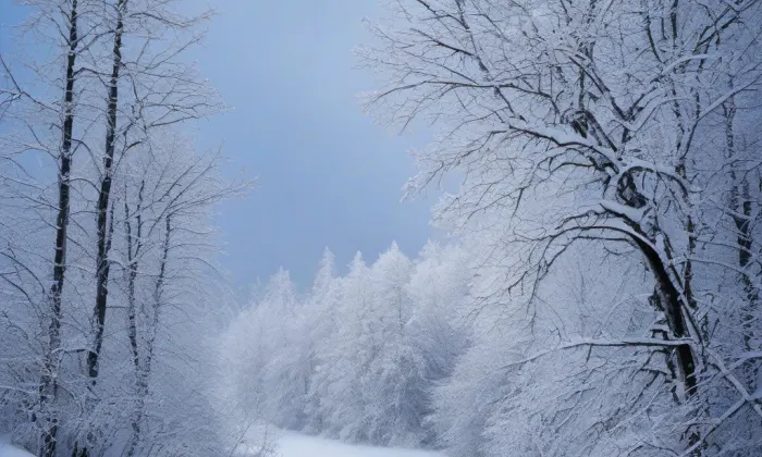 kaple svatého Jana Křtitele (Lhota) – winter