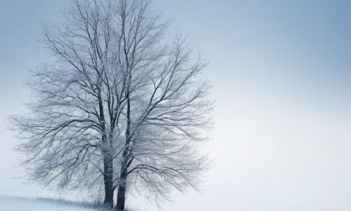 kaple svatého Jana Křtitele (Ostopovice) – winter