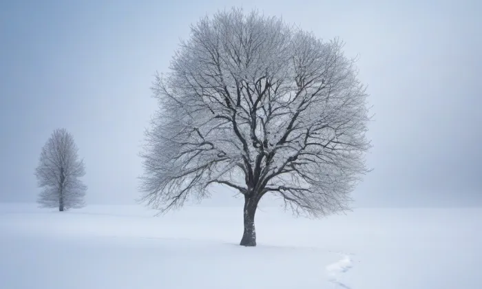 kaple svatého Jana Nepomuckého (Březce) – winter