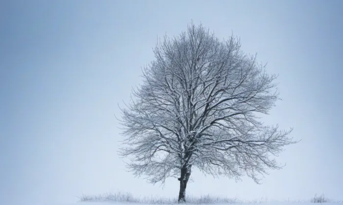 kaple svatého Jana Nepomuckého (Blízkov) – winter