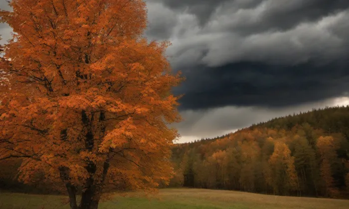 Kaple svatého Jana Nepomuckého (Bukvice) – autumn