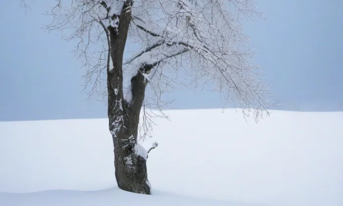 Kaple svatého Jana Nepomuckého (Bukvice) – winter
