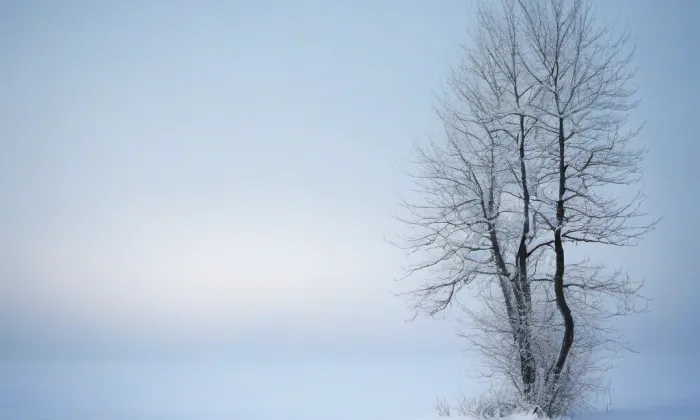 kaple svatého Jana Nepomuckého (Olší nad Oslavou) – winter
