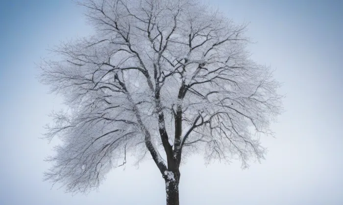 kaple svatého Jana Nepomuckého (Příchovice) – winter