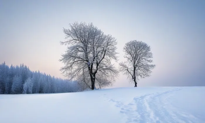 Kaple svatého Jana Nepomuckého (Slavošovice) – winter