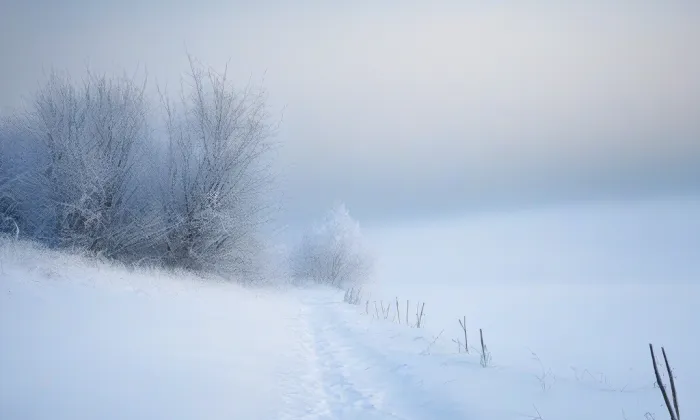 kaple svatého Jana Nepomuckého (Stráž pod Ralskem) – winter