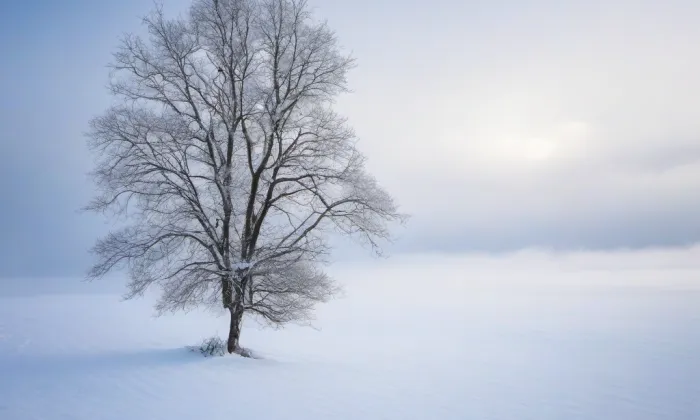 Kaple svatého Jana Nepomuckého (Těchobuz) – winter