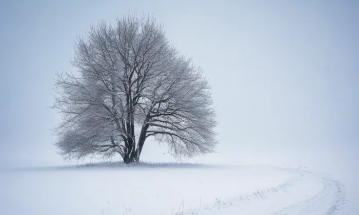 Kaple svatého Jana Nepomuckého (Závada) – winter
