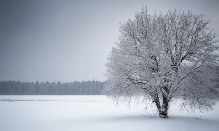 Kaple svatého Jana Nepomuckého u Horní brány – winter