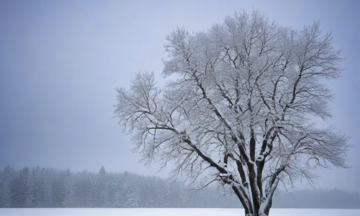 kaple svatého Jiří (Litovel) – winter