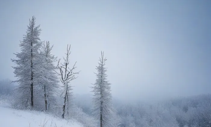 kaple svatého Jiljí (Josefov) – winter