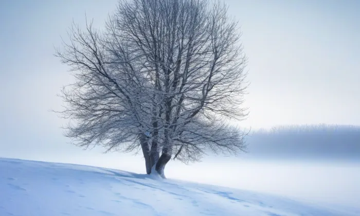 kaple svatého Josefa (Jundrov (Brno-Jundrov)) – winter