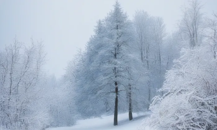 kaple svatého Josefa (Zákupy) – winter