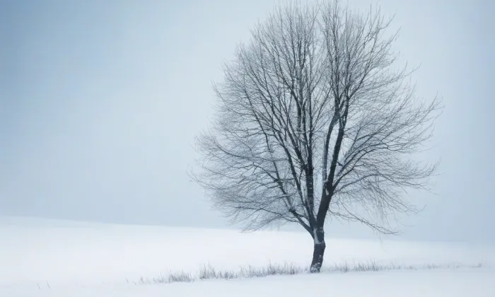 Kaple svatého Kříže (Letňany) – winter