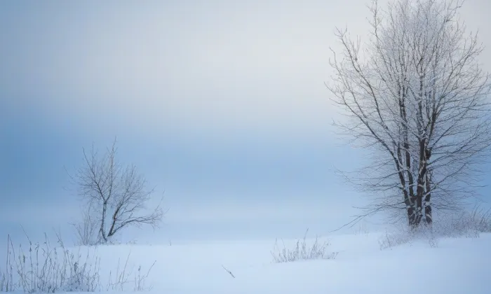 kaple svatého Kříže (Markvartice) – winter