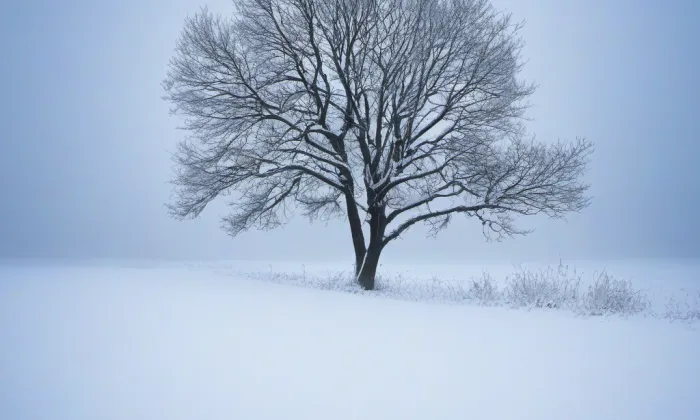 kaple svatého Karla Boromejského (Telč-Štěpnice) – winter