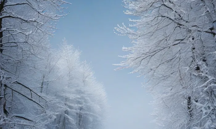 kaple svatého Mikuláše – winter