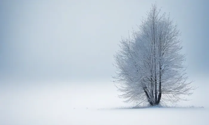 kaple svatého Petra a Pavla (Bílý Kámen) – winter