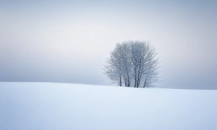 kaple svatého Prokopa (Pertoltice pod Ralskem) – winter