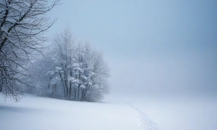 kaple svatého Prokopa (Provodín) – winter