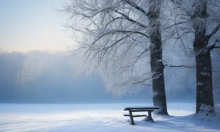 kaple svatého Rocha (Jarošov) – winter