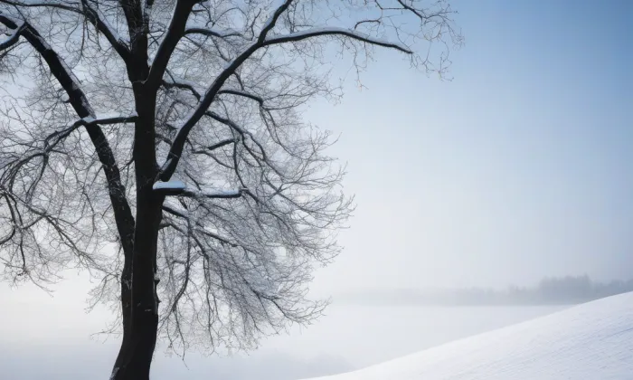 kaple svatého Václava (Znojmo) – winter