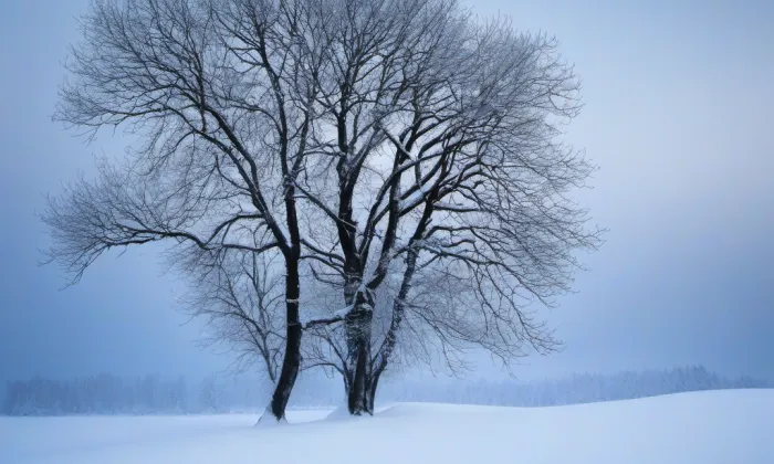 kaple svatého Vavřince (Mirošovice) – winter