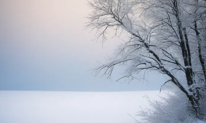 Kaple svatého Vendelína (Arnolec) – winter
