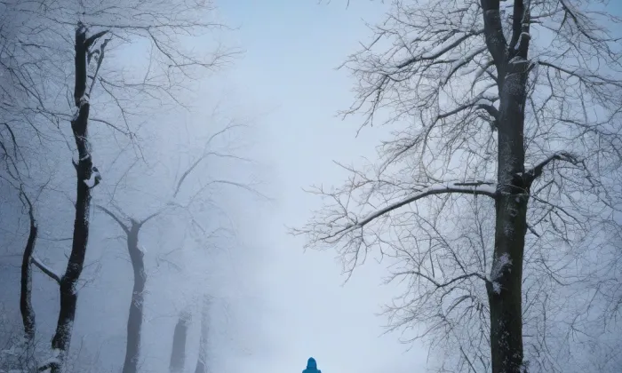 Kaple svatého Vojtěcha (Vrčeň) – winter