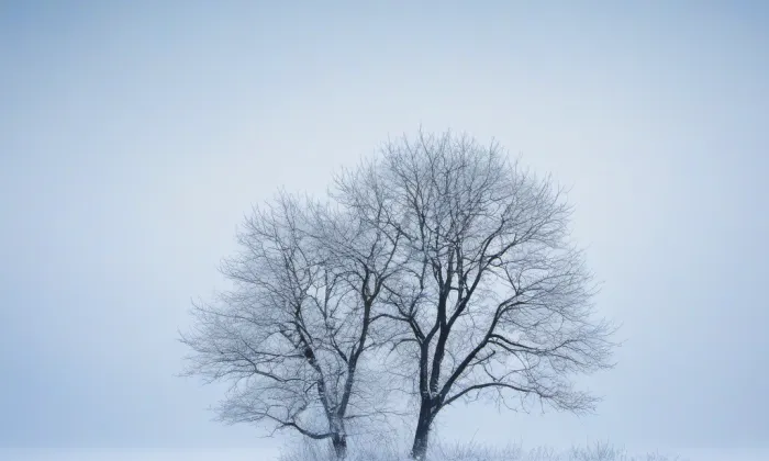 kaple v Domažličkách – winter